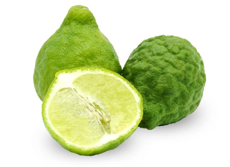 Bergamot Tree