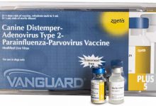 DA2PP Vaccine
