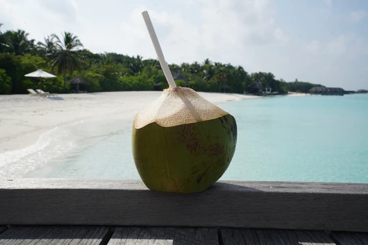 How to Consume Coconut Water