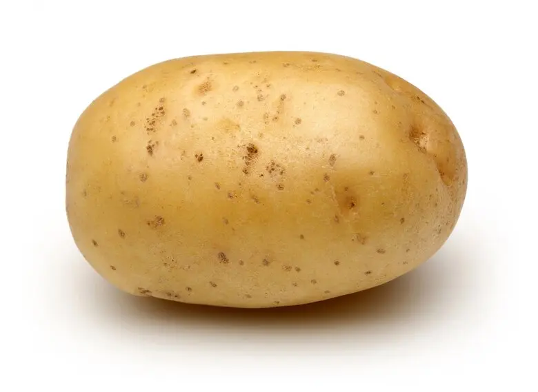 Potato