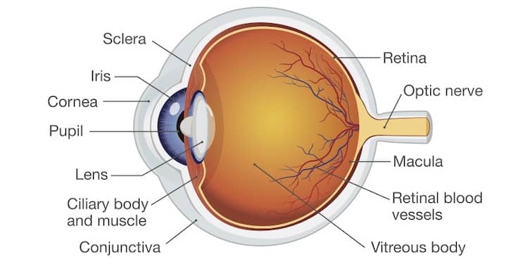 Waking Up With Dry Eyes