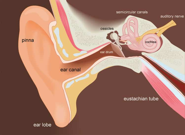 Create Vacuum In Your Ear