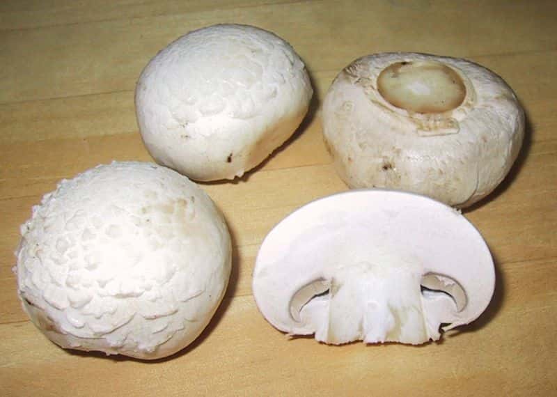 How To Tell If Agaricus Bisporus Mushroom Has Deteriorated