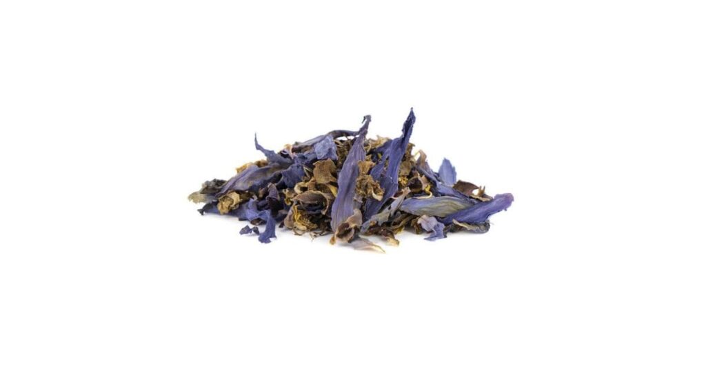 Blue Lotus Tea