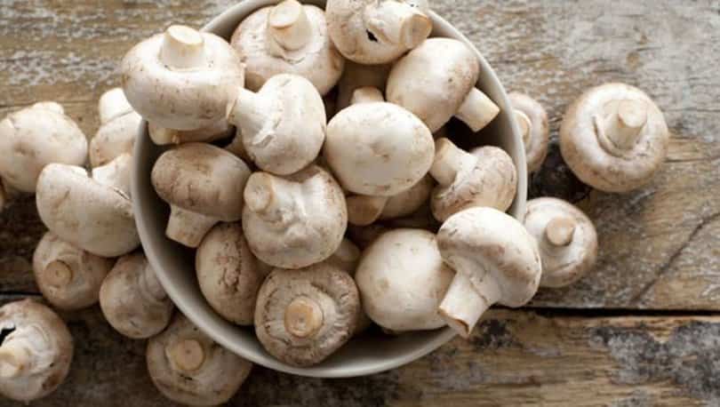 How Does Mushroom Poisoning Occur?
