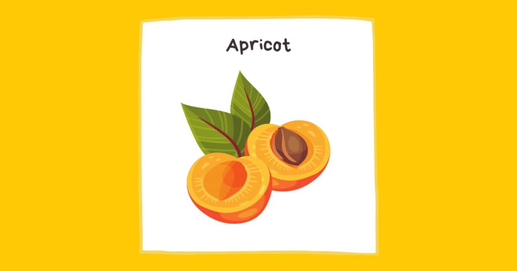 Apricot