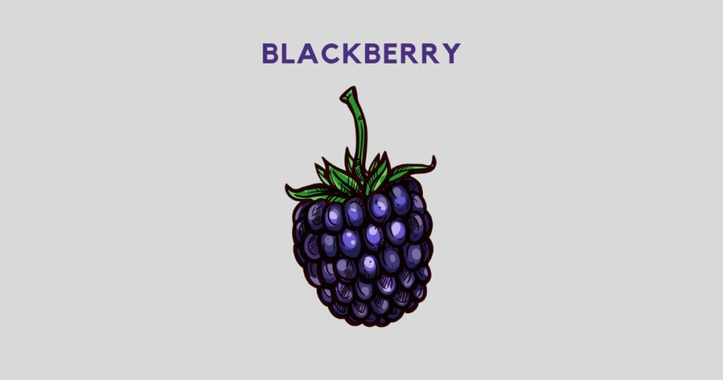 Blackberry