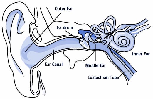 Are Ear Infections Contagious