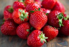 Vorteile der Erdbeere