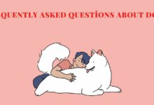 Asked Questions About Dogs