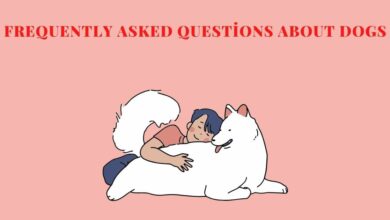 Asked Questions About Dogs