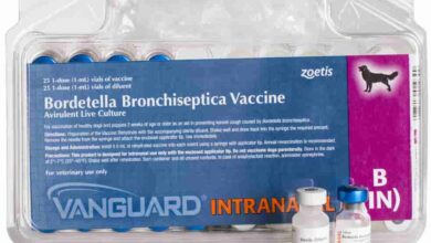 Bordetella Vaccine