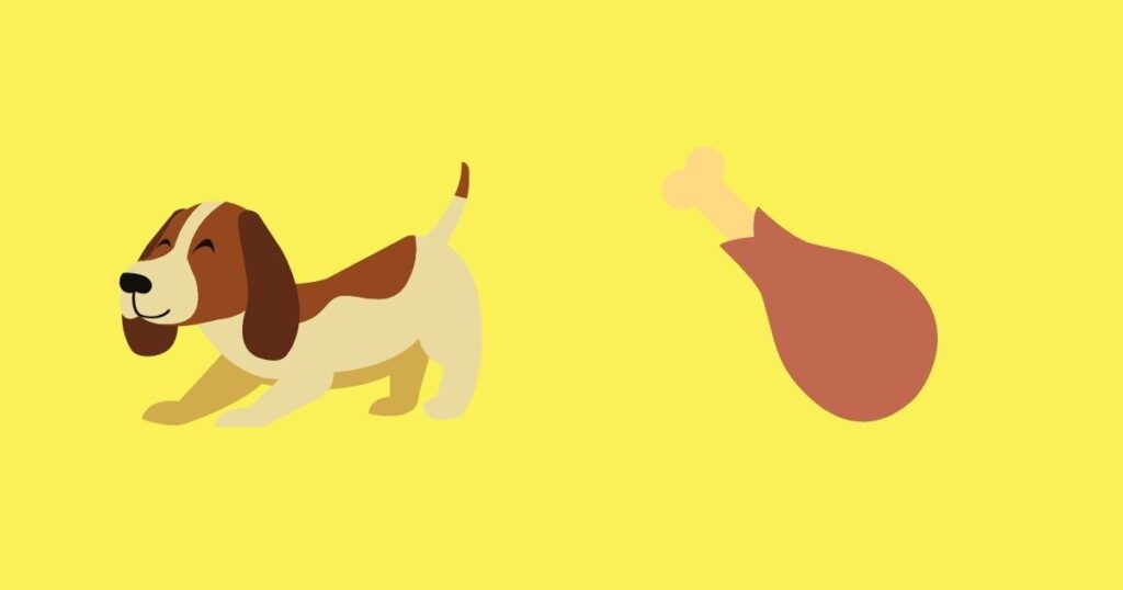 Frequently asked questions about dogs