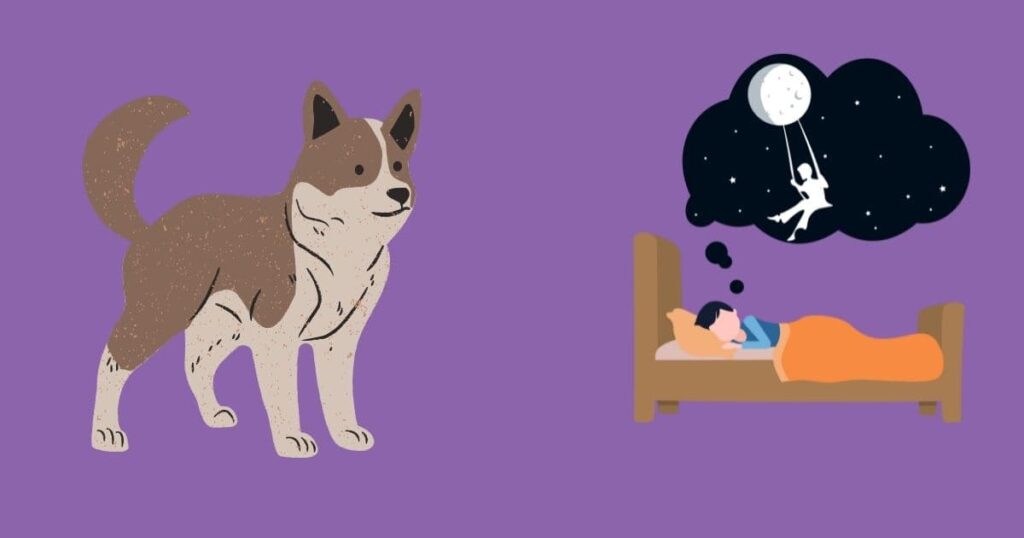 Do Dogs Dream