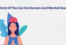 Effects Of The Gut On Human And Mental Health