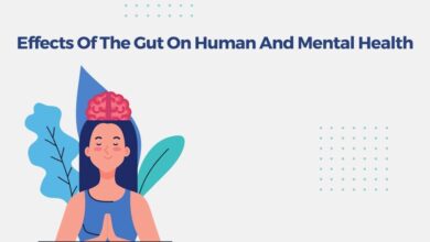 Effects Of The Gut On Human And Mental Health