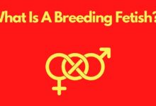 Breeding Fetish