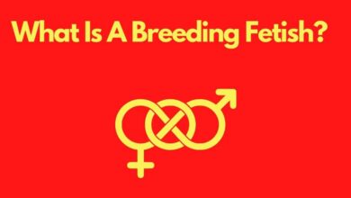 Breeding Fetish