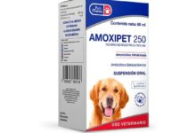 Amoxipet