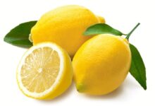 Lemon Seeds Nutrition