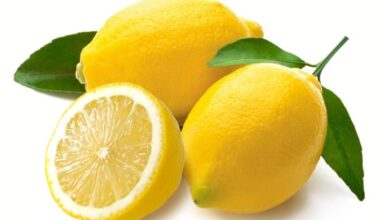 Lemon Seeds Nutrition