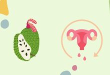 Soursop And Menstruation