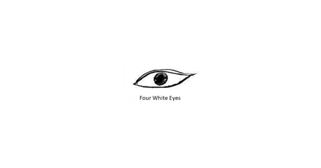 Four White Eyes