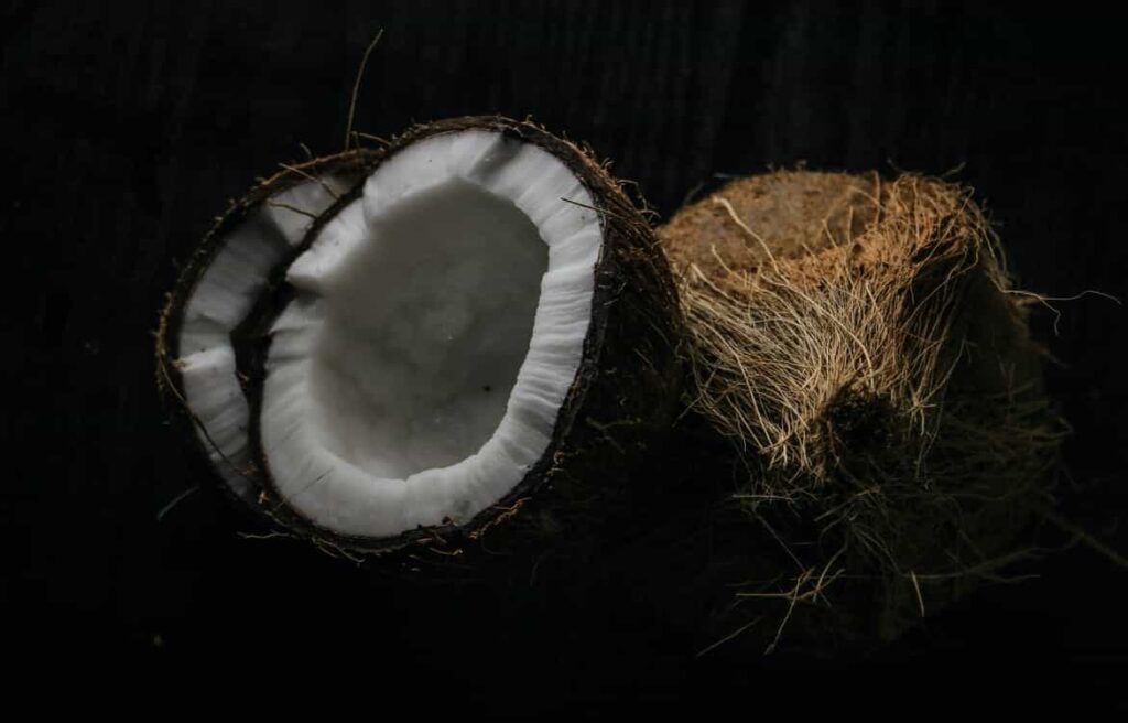 Coconut