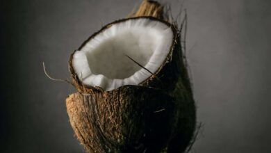 coconut