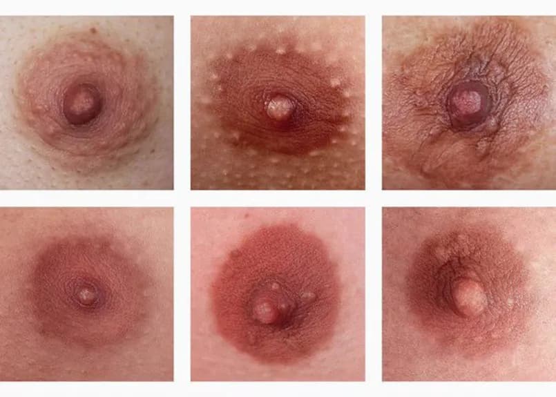 male and female nipples
