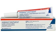 Animax Ointment-1