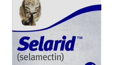 Selarid For Cats